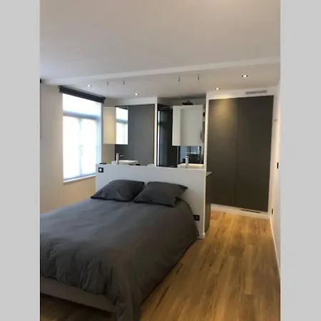 Les Berguoises Duplex Calme Au Coeur De アパート *